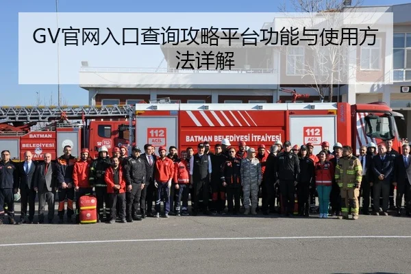GV官网入口查询攻略平台功能与使用方法详解